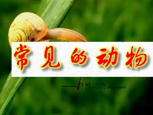 七年级科学上册第2章观察生物2.4常见的动物3