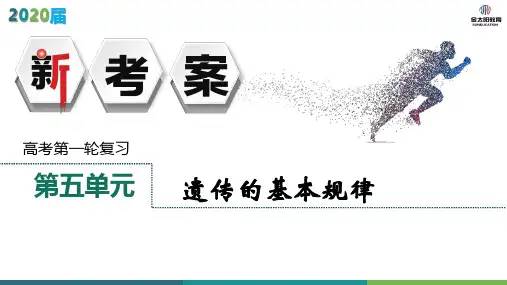 第五单元  第12讲  基因的自由组合定律