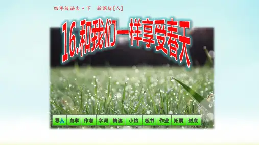精编人教版语文四年级下册 第16课《和我们一样享受春天》