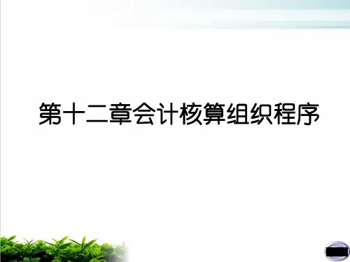 会计核算组织程序的意义、要求与种类模版(PPT28张)