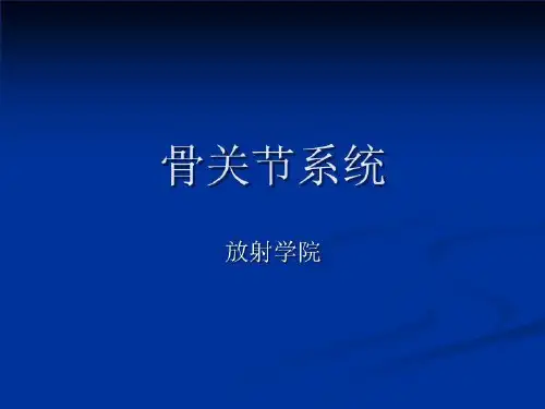骨关节1 PPT课件