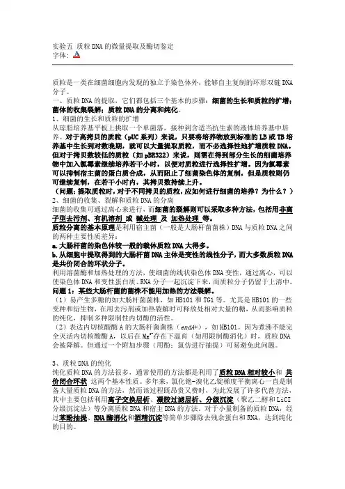 质粒DNA 酶切鉴定