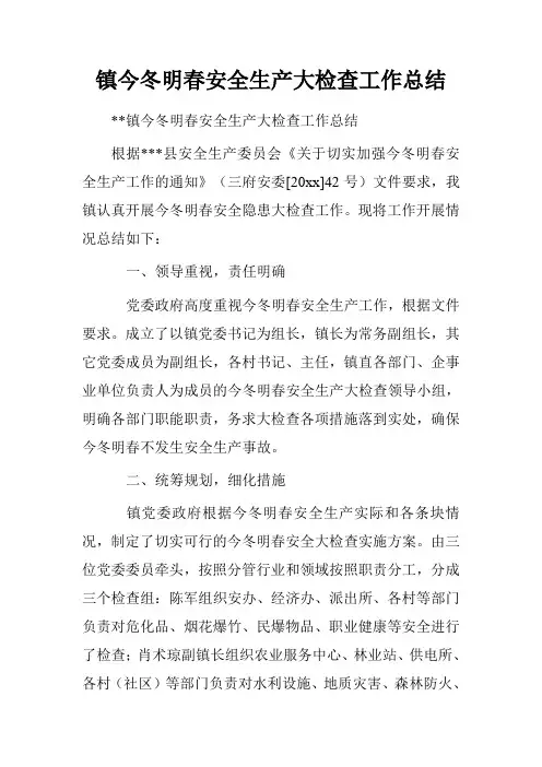 镇今冬明春安全生产大检查工作总结