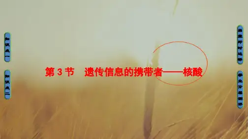 2018学年高中生物必修一课件 第二章 组成细胞的分子 第2章第3节