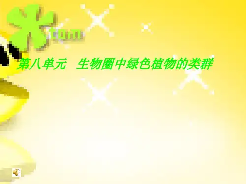 初中生物光合作用和呼吸作用复习课件教程文件