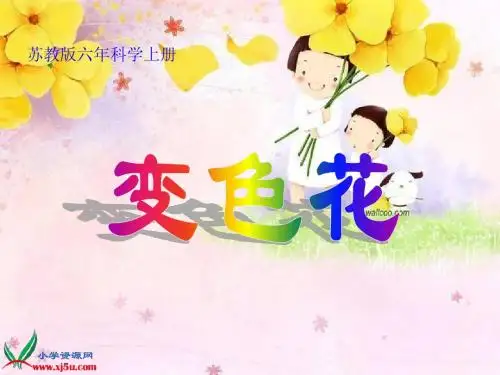 苏教版小学科学六年级上册《变色花》课件