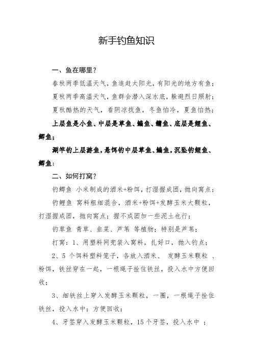 新手钓鱼知识