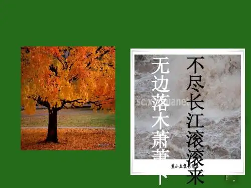 2013年高中语文暑期备课课件 3.9《说“木叶”》新人教版必修5