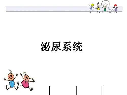 幼儿卫生保育：泌尿系统