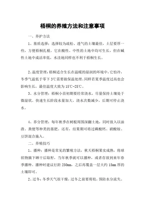 梧桐的养殖方法和注意事项