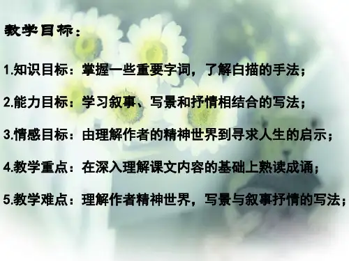 《湖心亭看雪》PPT课件张岱