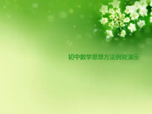 初中数学思想方法例说演示