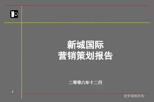 新城国际营销策划报告
