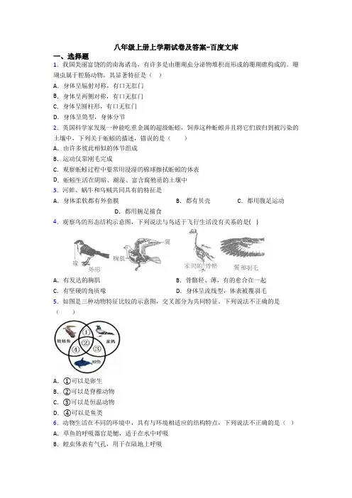 八年级上册上学期试卷及答案-百度文库