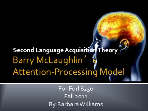 Attention-Processing-Model语言教学