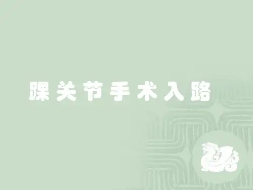 踝关节手术入路ppt参考课件