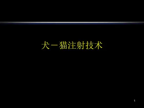 犬猫注射技术PPT课件