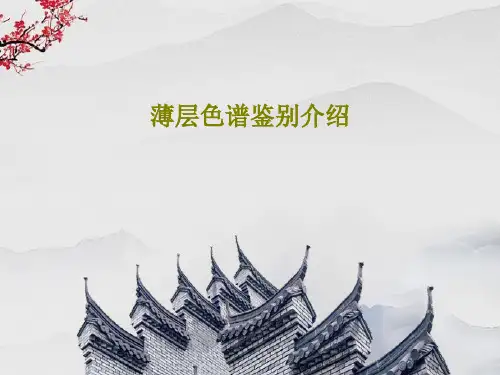 薄层色谱鉴别介绍共58页