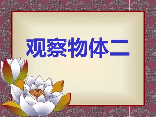 四年级下册数学-观察物体人教版