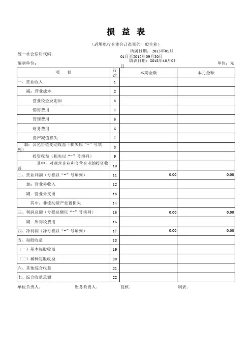 财务报表模板(企业会计准则)