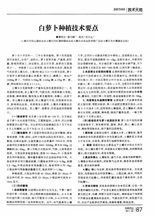 白萝卜种植技术要点