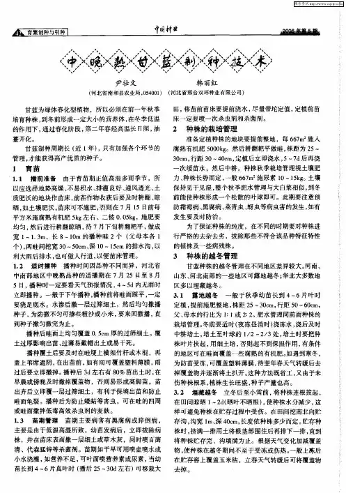 中晚熟甘蓝制种技术