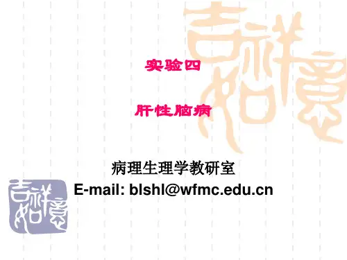 实验四肝性脑病