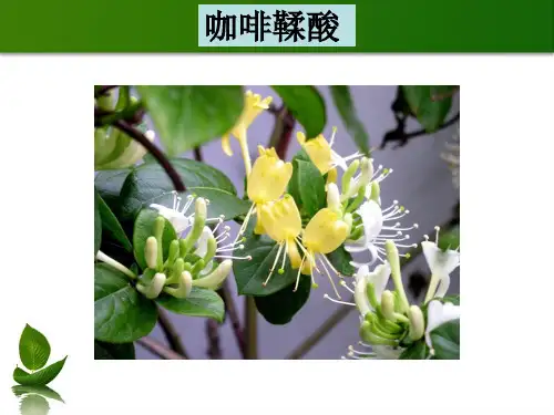 基团之间的相互影响