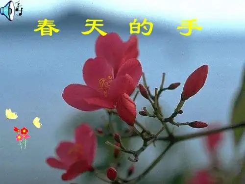 春天的手2