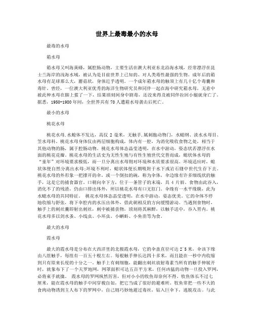 世界上最毒最小的水母