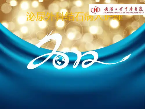 泌尿系结石病人护理PPT课件