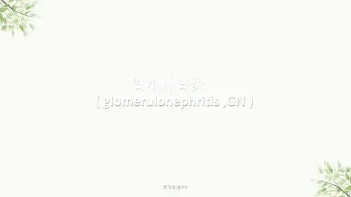 病理(肾小球肾炎)课件
