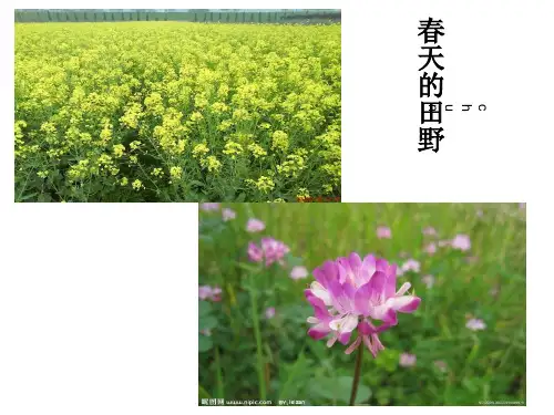 春天的景物
