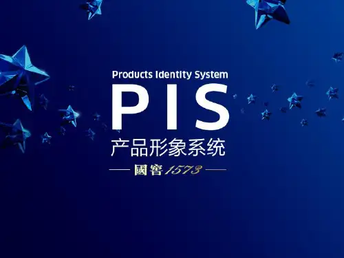 国窖1573——酒类营销方案