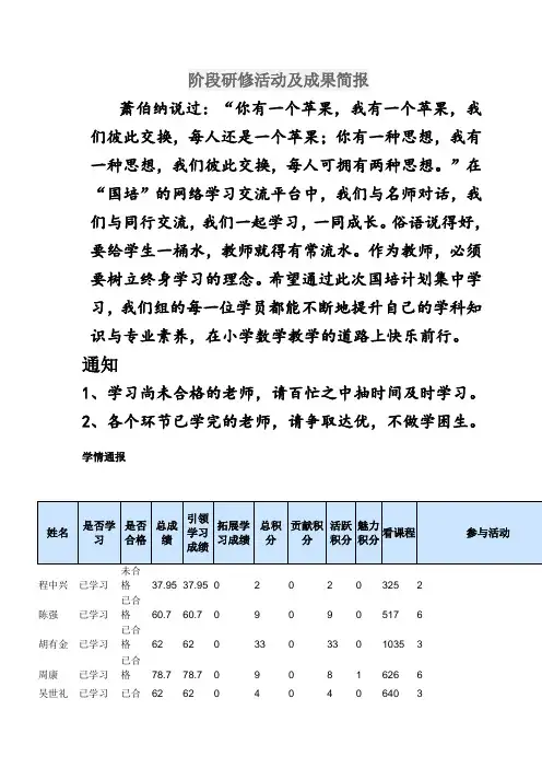 阶段研修活动及成果简报