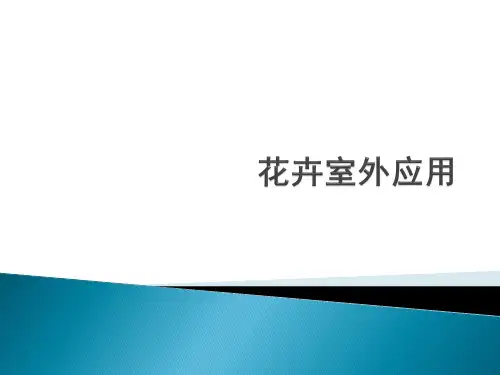 花卉室外应用精品PPT课件