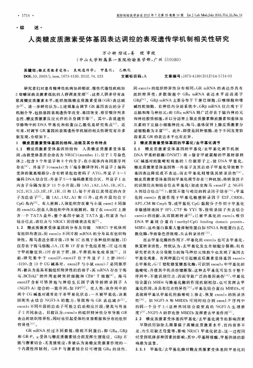 人类糖皮质激素受体基因表达调控的表观遗传学机制相关性研究