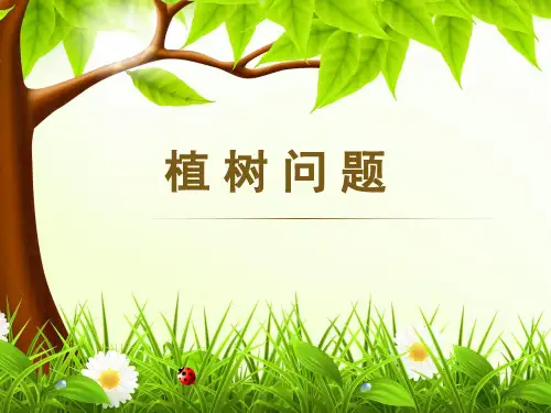 小学数学_智慧广场《植树问题》教学课件设计