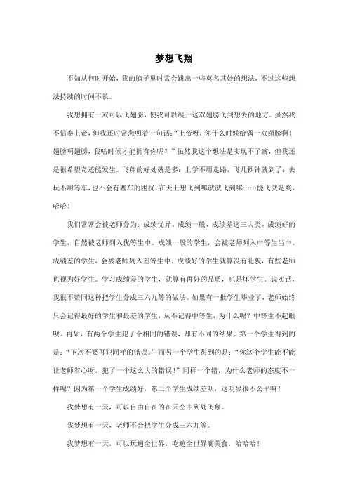 梦想飞翔_初中初三作文600字