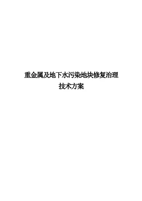 重金属及地下水污染地块修复治理技术方案
