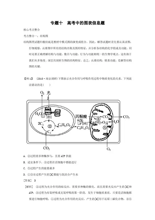 2011届高考生物第二轮专题复习教案37