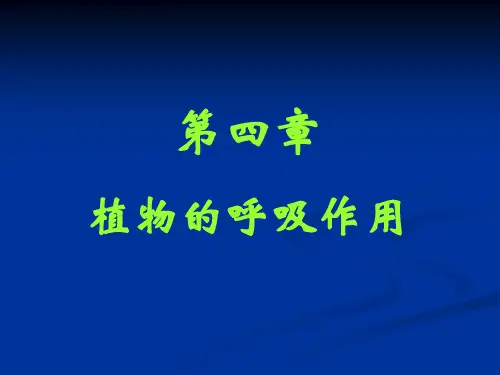 植物的呼吸作用-PPT课件