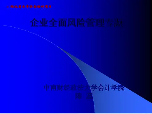 企业全面风险管理专题