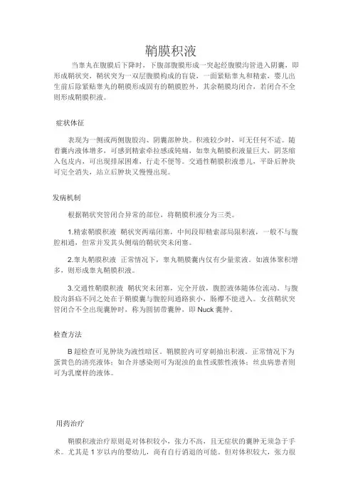 鞘膜积液