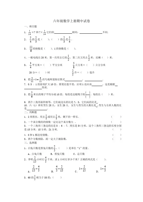 六年级数学上册期中试卷