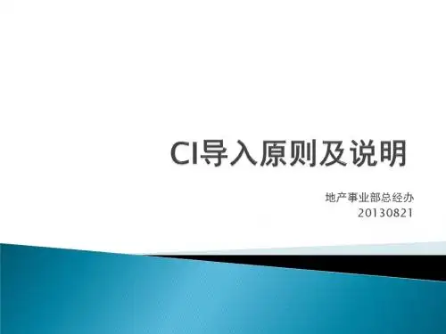 CI导入原则及说明解析