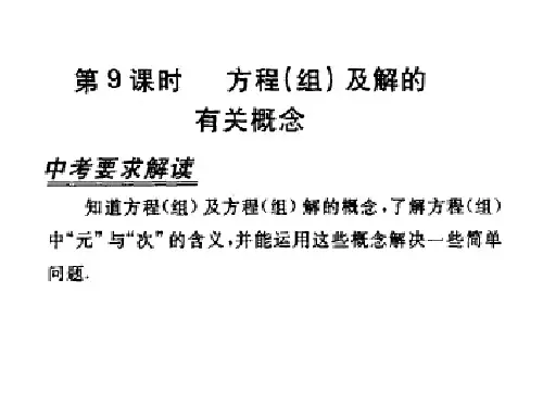 方程(组)及解的有关概念