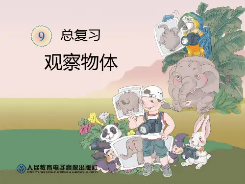 人教版二年级上册数学 《观察物体》总复习PPT课件