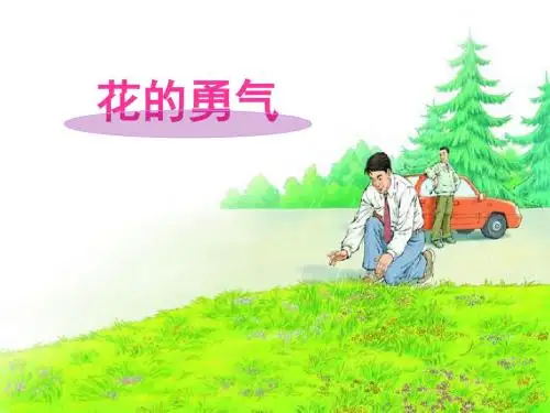 20花的勇气