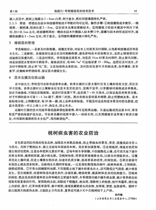 桃树病虫害的农业防治